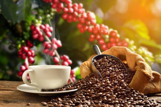 Tour de Café: La Candelaria